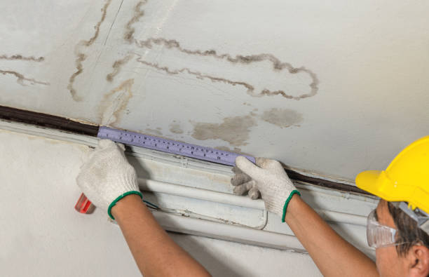 Reliable Water Damage contractor in Burnsville, NC by Water Damage Irwin